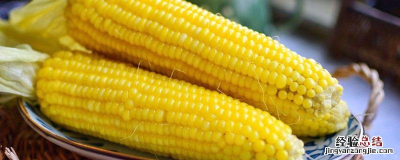 一个玉米有多少克碳水化合物 一个玉米有多少克