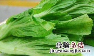芥菜的功效和作用 分别是什么