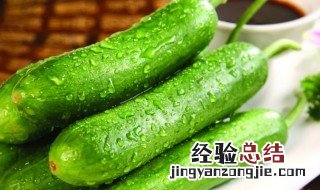 青瓜有哪些营养价值 小青瓜的营养价值