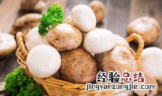 海鲜菇的功效与作用 海鲜菇不焯水有毒吗