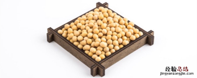 黄豆水发酵多久才能用 黄豆水发酵多久才能用太臭了怎么办