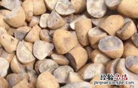 土豆种植技术 大田土豆种植技术