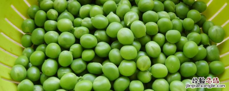 青豆怎么吃 青豆怎么吃好吃又简单