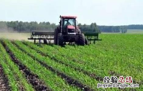 农业生产中施肥应掌握的原则 冬季農作物肥水管理要点