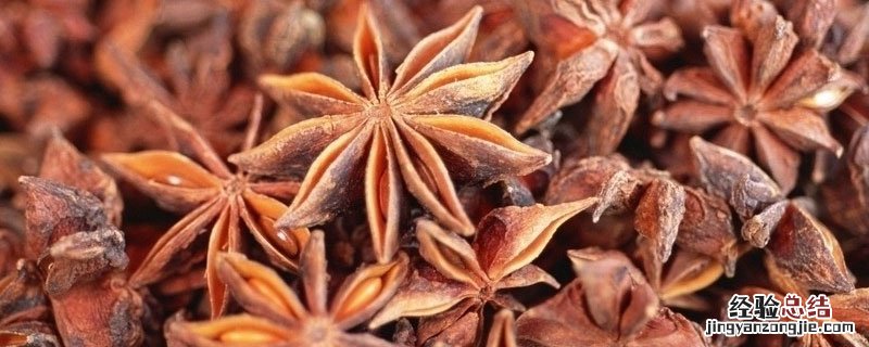 八角茴香属于 茴香八角是一种吗