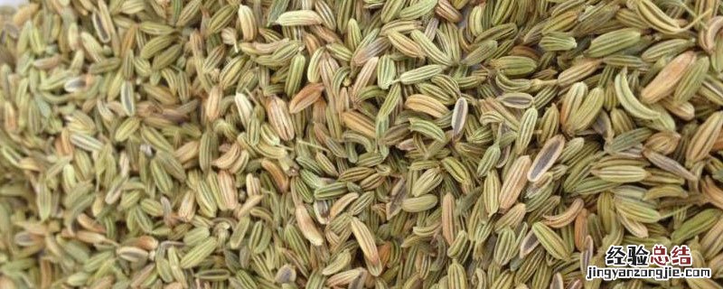 茴香也叫孜然吗 茴香是孜然吗
