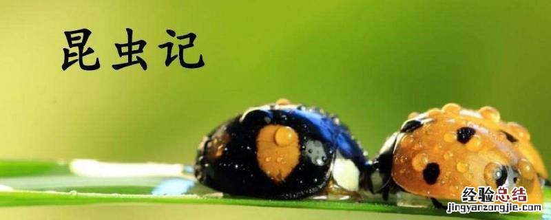 昆虫记也叫做什么 昆虫记也叫做什么阅读答案