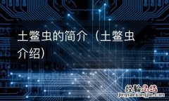 土鳖虫介绍 土鳖虫的简介