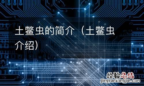 土鳖虫介绍 土鳖虫的简介
