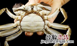 活螃蟹直接冷冻后能吃吗 活螃蟹直接冷冻以后可以吃吗