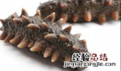 海参的功效与作用及营养价值 海参的功效与作用及营养价值海参的赞美