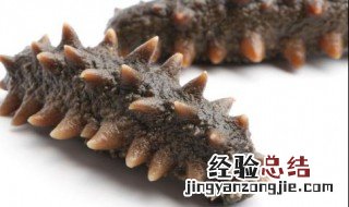 海参的功效与作用及营养价值 海参的功效与作用及营养价值海参的赞美