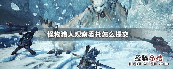 怪物猎人观察委托 怪物猎人观察委托怎么提交