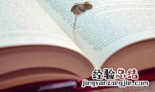 牙花是指哪里 牙花是什么意思