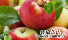 苹果的营养价值及功效作用 苹果营养价值及功效与作用