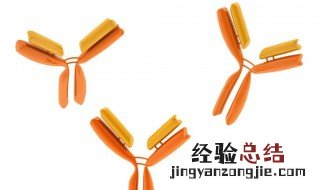 抗体是什么 看完你就知道了