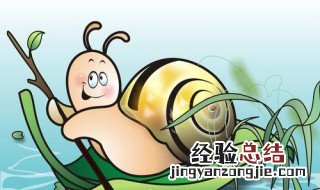 世界上牙齿最多的动物 竟然是它
