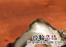 海螺怎么快速去沙 海螺怎么去沙能去干净