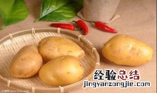 土豆营养价值及功效与作用 土豆营养价值及功效与作用图片
