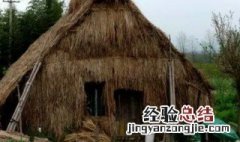草棚是什么意思 草棚是什么意思?
