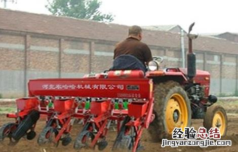影响玉米播种时间的因素 影响玉米播种时间的因素有