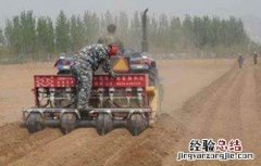影响玉米播种时间的因素 影响玉米播种时间的因素有