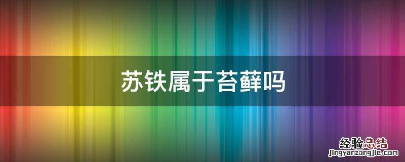 苏铁蕨和苏铁的区别 苏铁属于苔藓吗