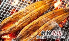 家里怎么杀鳗鱼 杀鳗鱼的技巧