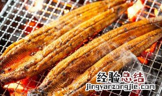 家里怎么杀鳗鱼 杀鳗鱼的技巧