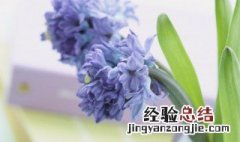 武汉加油的句子 这些都是为武汉打气的句子