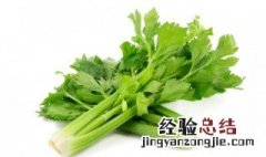 芹菜有什么营养成分 芹菜营养成份