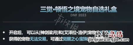 dnf春节套普通宠物属性 DNF春节套宠物属性一览