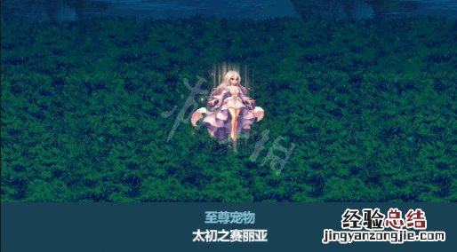 dnf春节套普通宠物属性 DNF春节套宠物属性一览
