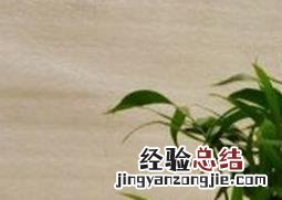 袖珍椰子树的养殖方法和注意事项 袖珍椰子养殖方法和注意事项有哪些