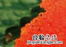 飞鱼籽可以生吃吗 生的飞鱼籽小孩子可以吃吗