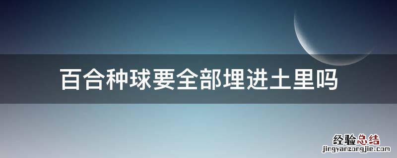 百合种球要全部埋进土里吗 百合种球全部都埋到土壤里面
