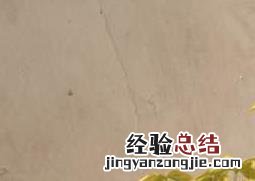 牡丹花叶子蔫了怎么办小妙招 牡丹花叶子蔫了怎么办