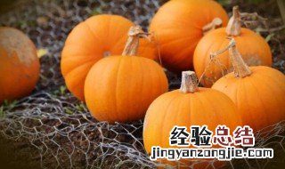 鲜蘑酿南瓜 南瓜蘑菇汤的做法窍门