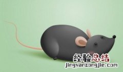 梦见老鼠跑来跑去是什么征兆 梦到老鼠跑来跑去是什么意思