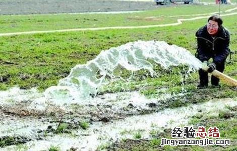 小麦用浇过冬水吗 如何浇好小麦越冬水