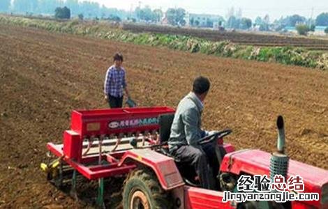小麦种得太深弱苗怎么办 小麦播种过深该如何补救