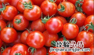 西红柿营养价值与功效与作用 西红柿的营养价值及功效与作用