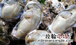 生蚝营养价值及功效与作用 生蚝营养价值及功效与作用禁忌
