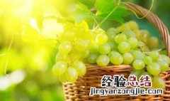 葡萄的营养价值及功效与作用和禁忌 葡萄的营养价值及功效与作用