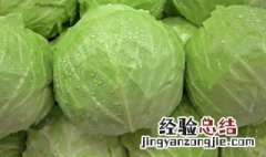 莲花白凉拌怎么做脆 凉拌莲花白的做法