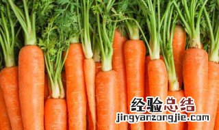 哪些食物对眼睛好 哪些食物能对眼睛好
