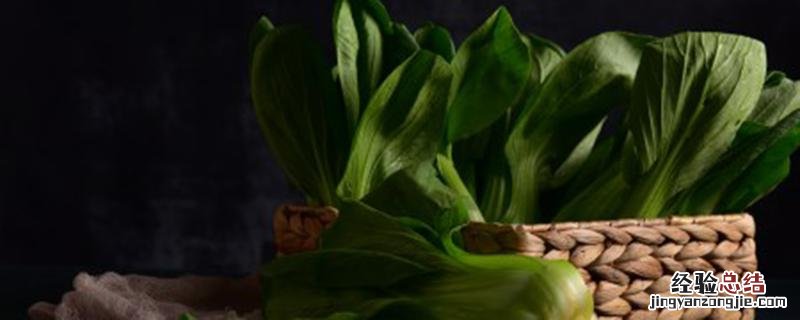 菜长蚜虫了怎么处理 菜叶长蚜虫怎么办