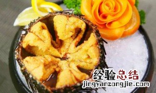 海胆可不可以生吃 海胆能生吃吗