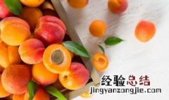 秋季要预防什么疾病 秋季要预防的疾病