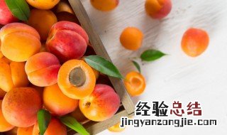 秋季要预防什么疾病 秋季要预防的疾病